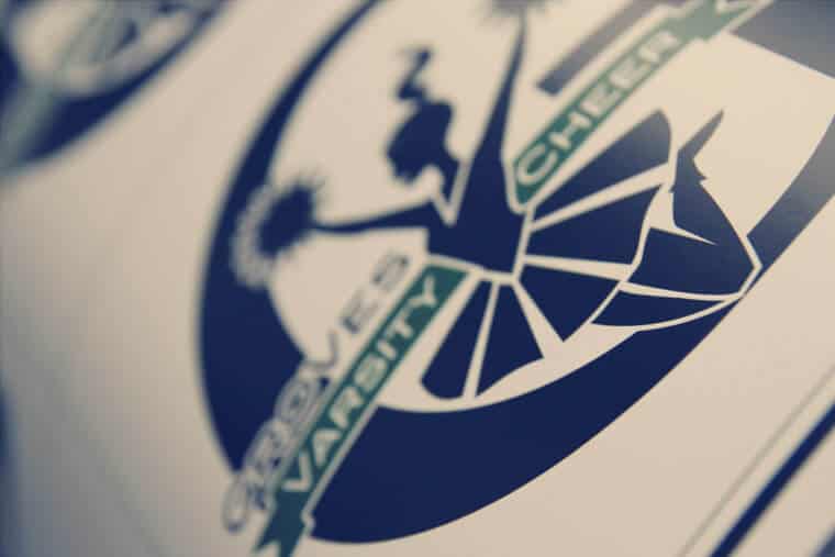 School Spirit Car Decals Sticker Genius